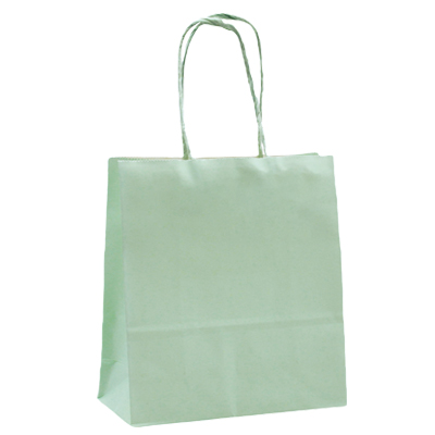 Sacs kraft à poignées torsadées vert pastel – 12 +6 x H 15 cm